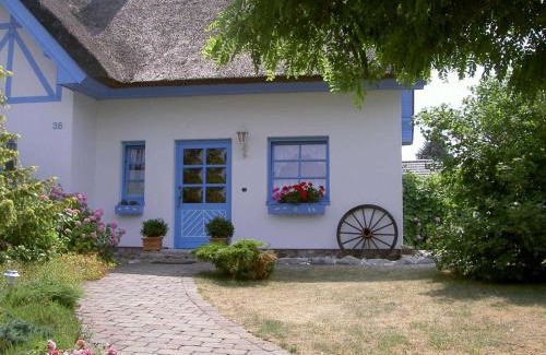 Diedrichshagen Apartment | Ferienhaus Diekelmann Objekt 258