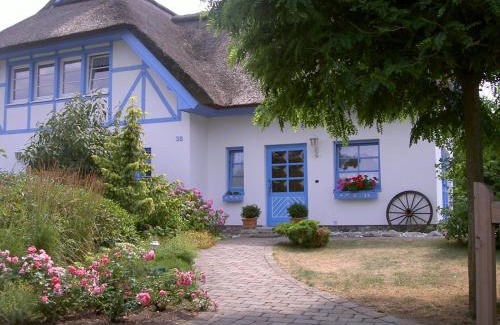 Diedrichshagen Apartment | Ferienhaus Diekelmann Objekt 258