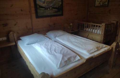 Mayrhofen House | Ferienhaus Gaishütte