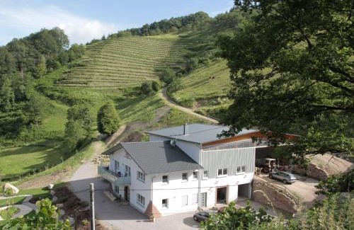 Oberkirch Apartment | Ferienhof Giedensbach