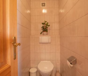 Pfarrwerfen Apartment | Ferienwohnung Antonia