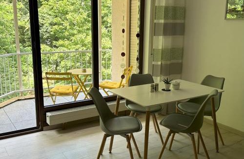 Bad Bergzabern Apartment | Ferienwohnung Bühler-Kurparkresidenz