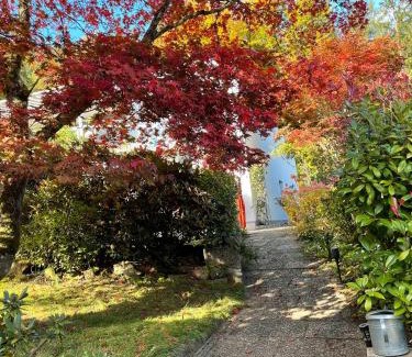 Bad Wildbad Apartment | Ferienwohnung Buntspecht