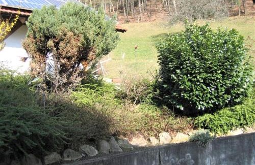 Seelbach Apartment | Ferienwohnung Burgblick