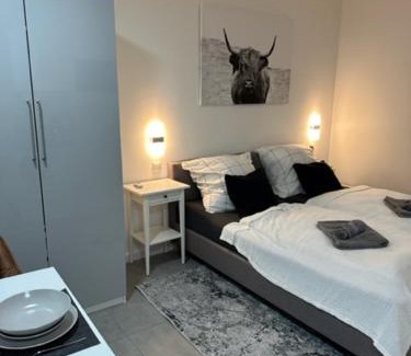 Magdeburg Apartment | Ferienwohnung Domspatz mit Klimaanlage