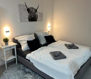 Magdeburg Apartment | Ferienwohnung Domspatz mit Klimaanlage