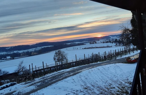Huttwilen Apartment | Ferienwohnung Frostenegg, (Nussbaumen TG).