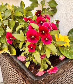 Steeg Apartment | Ferienwohnung Herta