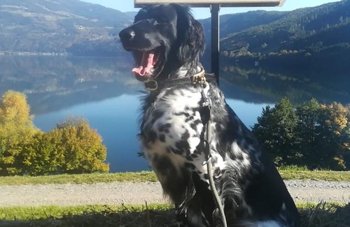 Spittal an der Drau Apartment | Ferienwohnung Stern mit Badesteg Direkt am See - Laggerhof Direkt am Südufer des Millstätter Sees