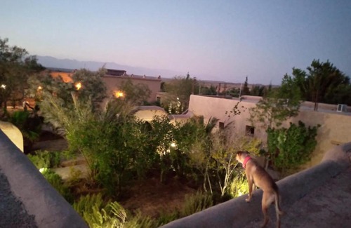 Ghassate Villa | Ferme 7