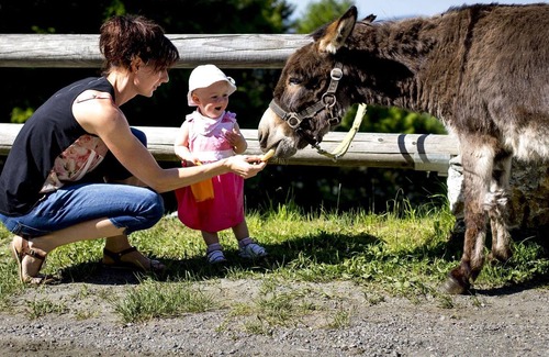 Muehlen Cabin | Ferner-hütte - Almdorf Tonnerhütte