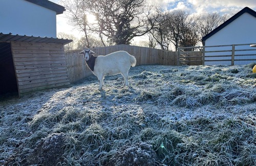 St. Florence Cottage | Fig Tree Cottage