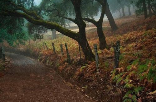 La Nava Ski Chalet | Finca Charco La Olla