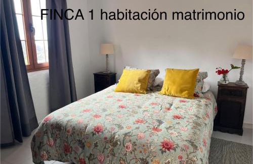 Los Quemados Apartment | Finca La Calzada