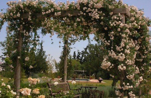Jeronimo y Avileses y Balsicas de Arriba House | Finca La Jaquima, de Estilo Cortijo Andaluz
