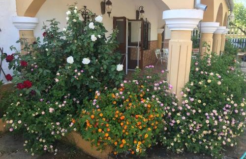 Setenil de las Bodegas House | Finca La Rosalía