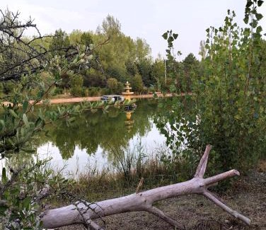 El Burgo de Osma House | Finca Paraíso Rural