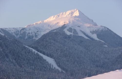 Shiligarnika Apartment | Finest Luxury Penthouse Bansko Royal Towers