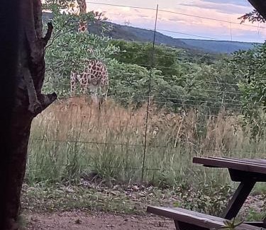 Tshwane Ski Chalet | Five Pebbles on Piece of Africa