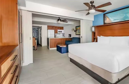 Pelican Key Resort | Flamingo Beach by Hilton: Oceanfront Resort, Pools & Spacious Studios To Relax!