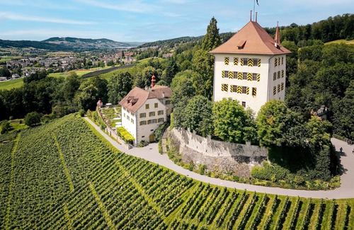 Gelfingen Apartment | Flat "Schloss Heidegg" with mountain view