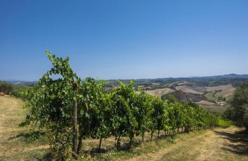 Castelfiorentino House | Flat with shared pool and air conditioning