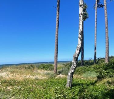 Postomino Cabin | Flip Flops