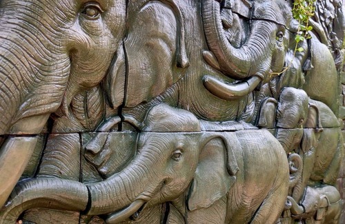 Saraphi Villa | Flora Land Resort Chiang Mai