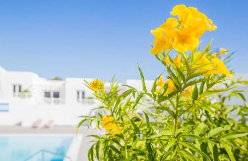 Playa del Cable Apartment | Flower Beach Suite 6