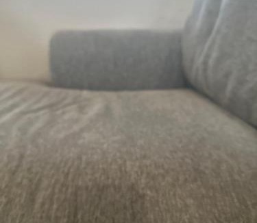 Las Vegas Hotel | Flower hour