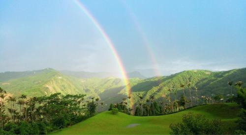 Zhushan Cabin | Foggy Wonderland