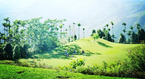 Zhushan Cabin | Foggy Wonderland