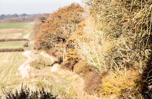 Edburton Other | Foot of the Downs Shepherds Hut