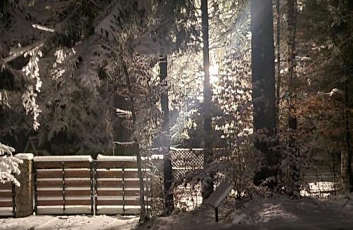 Vrbovsko Ski Chalet | Forest Amerika-Bungalovi Milica