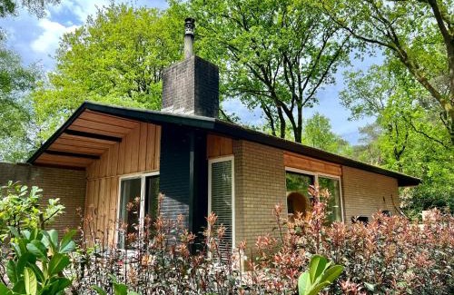 Rheezerveen House | Forest Bungalow 2 * Hottub & Sauna * Natuur