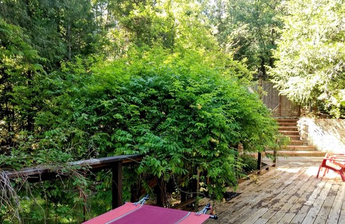 Apple Hill House | Forest Garden Adventure Cabin in Apple Hill