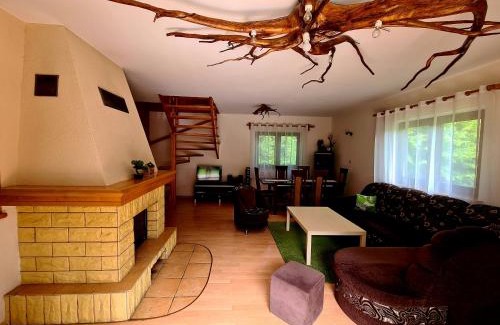 Mszana Dolna Cabin | Forest House
