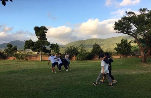 Manzhou House | forest