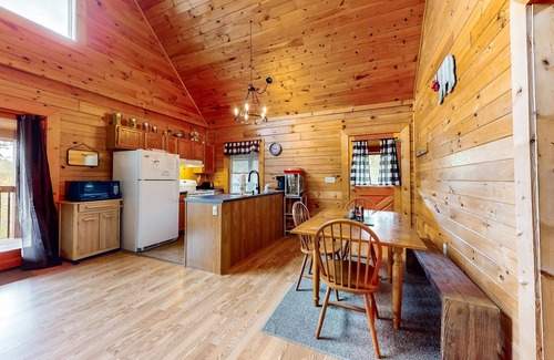 Sevierville Cabin | Forest-view cabin with pool, hot tub, fireplace, deck, & free attraction tickets