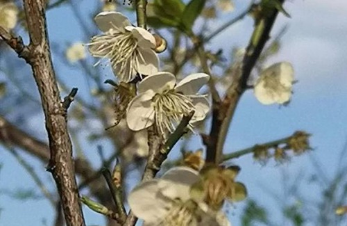 Fuxing District House | Forgather B&B