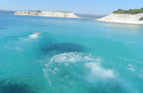 Skala Neon Kidonion Apartment | Fotis Apartments