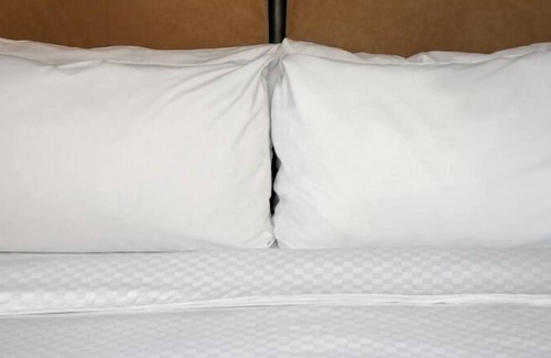 Scranton Hotel | Four Points by Sheraton Scranton