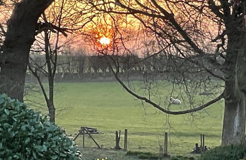 Northallerton Bed & Breakfast | Fox Hill - Bed and Breakfast