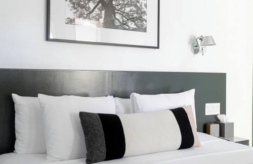 Travis Heights Hotel | Frame Hotel - Treehouse