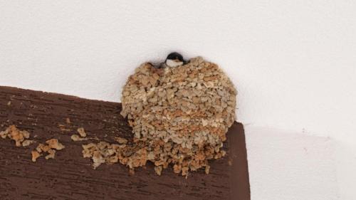 Aliko Hotel | Franko