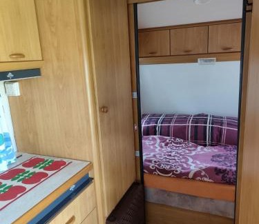 Moravka Other | František - Camp pod kaštany