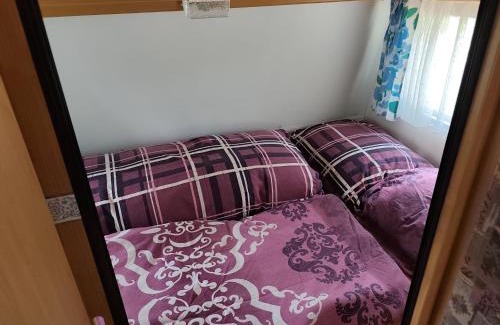 Moravka Other | František - Camp pod kaštany