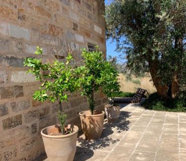 Spongano House | Fraula