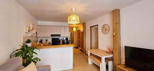 Saint-Aignan Apartment | Fresh Cotton, 5mn from ZooParc de Beauval