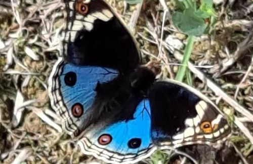 Toucheng Hotel | Fu Sen Satoyama